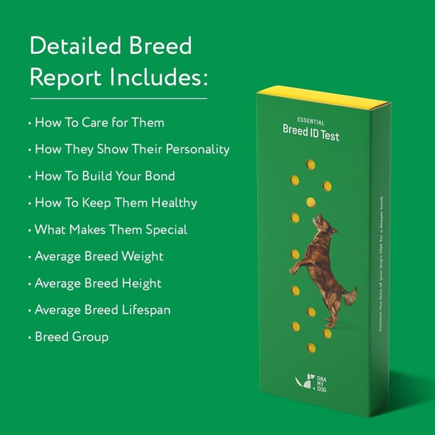 Dog Breed DNA Test Kit – 350+ Breeds, 99% Accuracy, Cheek Swab, 2-Week Results