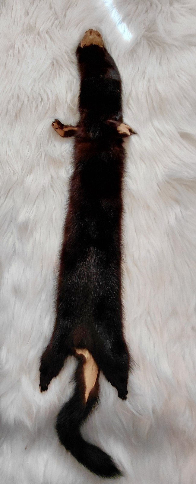 Vintage Mink Wrap/Tails & Legs/Quality Fur Pelt/Extra Length Collar Wrap!