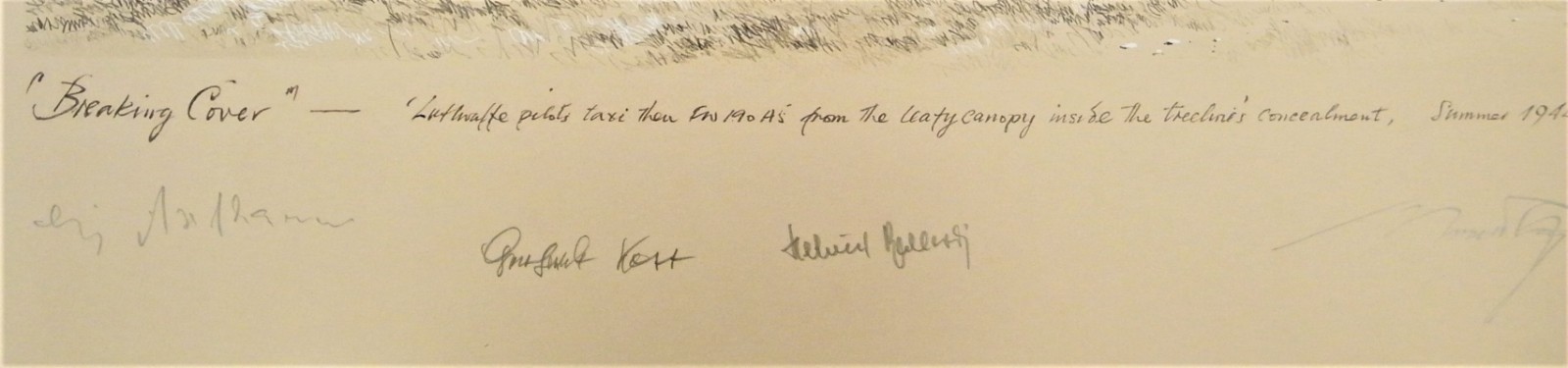 Breaking Cover by Robert Taylor signed by WWII Luftwaffe Fw190 Pilots