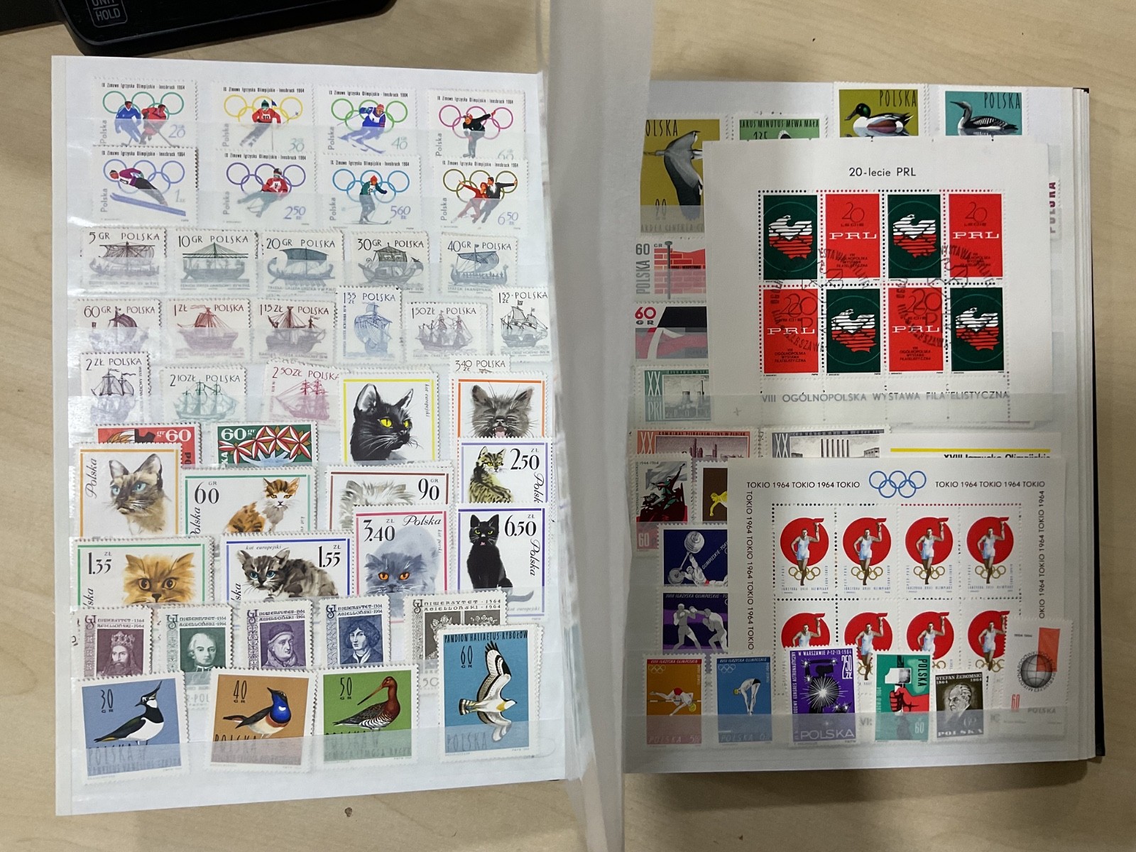 Poland stamps. Mostly mint. stock book. G/40