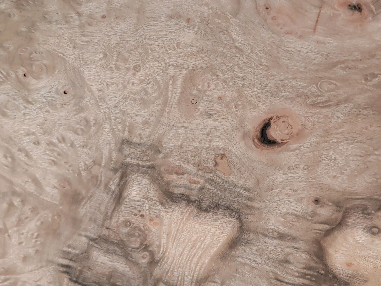 Myrtlewood burl veneer 2 pieces 18 1/4" x 11 5/8" each wood 1/42" raw