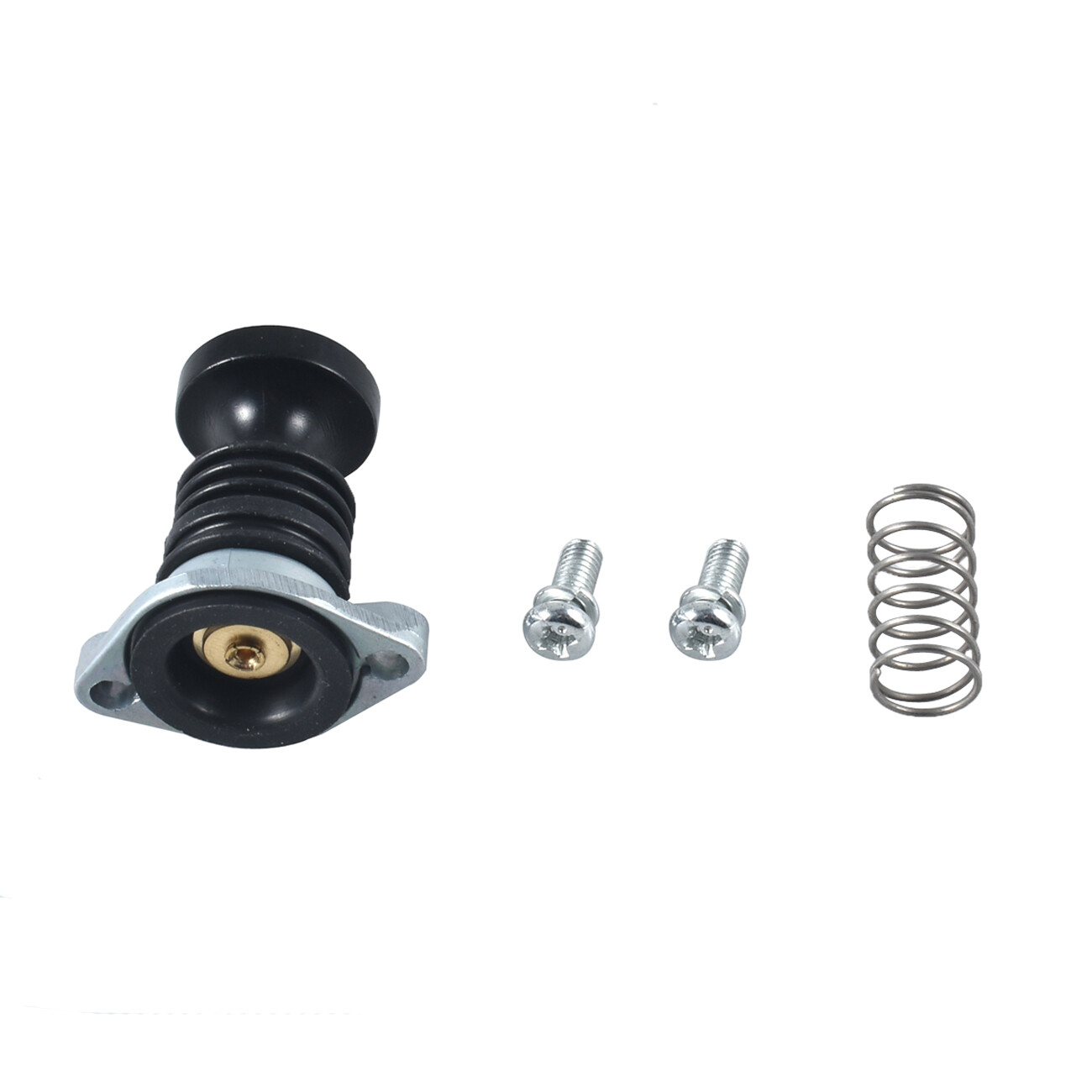 Carburetor Primer Pump Set Carb For 1988-2000 Honda TRX 300 Fourtrax ATVs