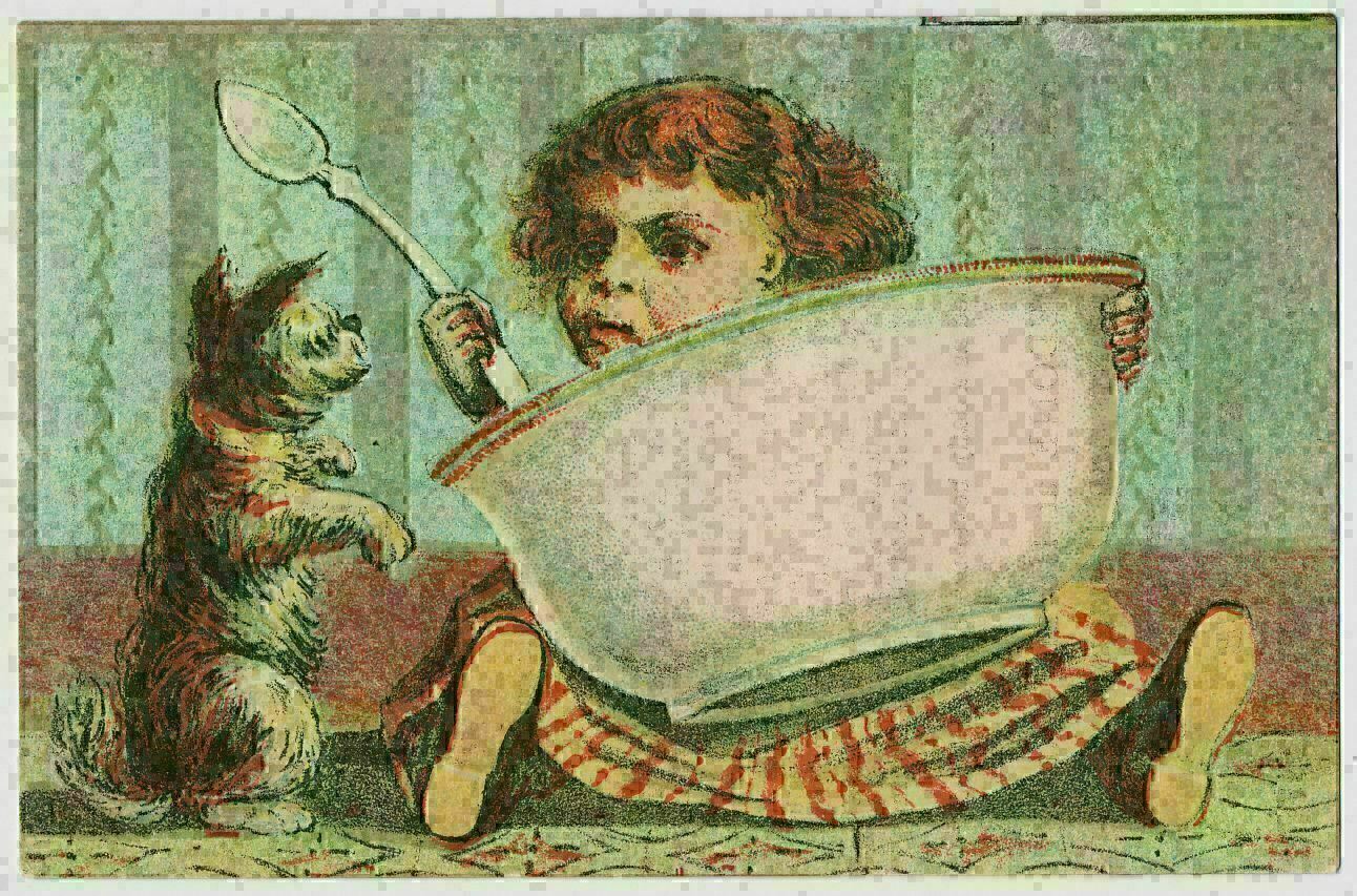 Zoedone Non-Alcoholic Phosphated Iron Tonic Beverage, Victorian Trade Card c1870