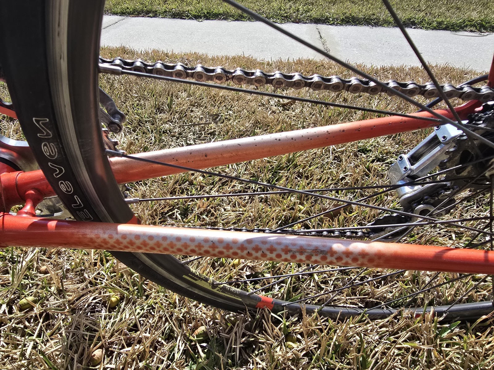 Gianni Motta Bike with Campagnolo Parts 53cm