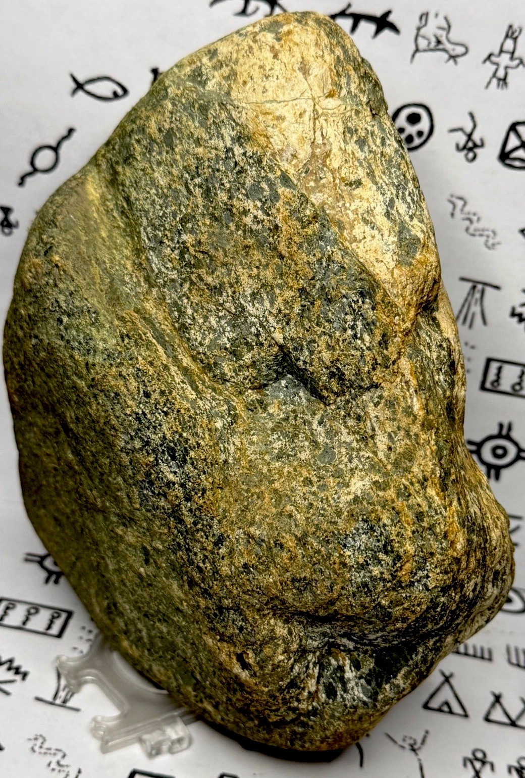 Native American Indian Authentic Artifact Stone Carved Effigy, 8 lb 2 oz • VA