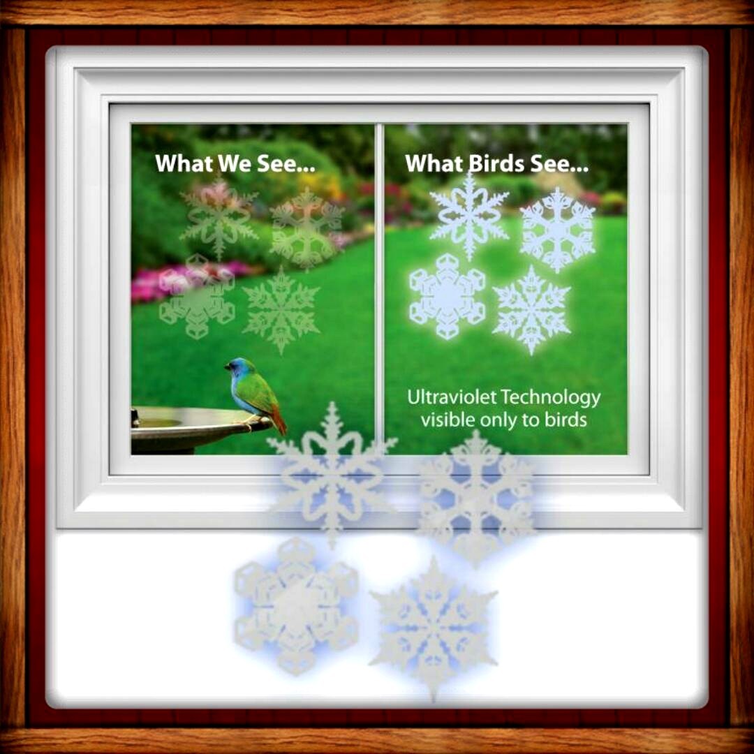 Window Alert ANTI-COLLISION CLINGS DECALS SNOWFLAKE SAVE BIRDS PREVENT STRIKES