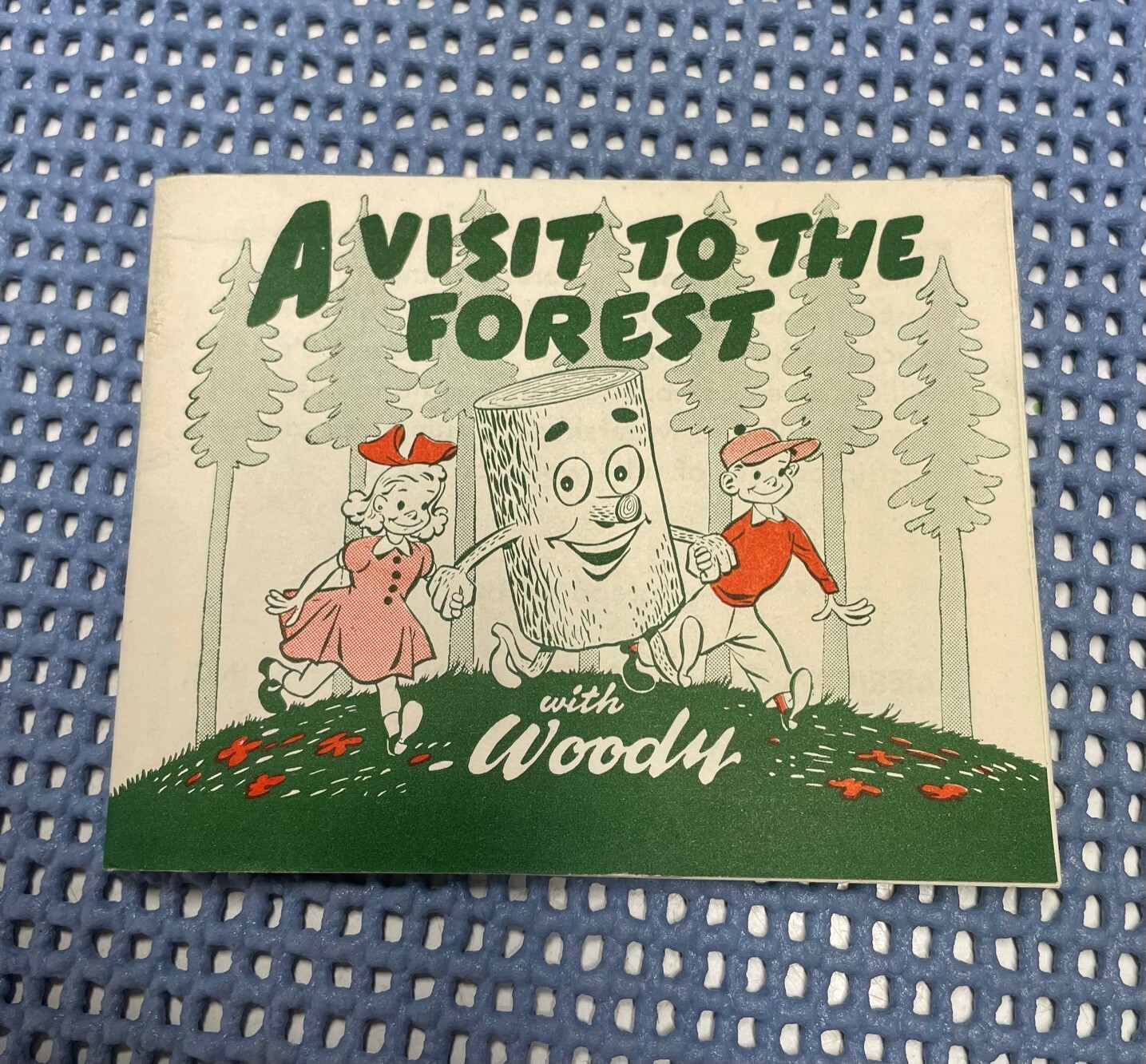 Michigan WOODYs "A VISIT TO THE FOREST" Booklet NOS 1940s-50s Smokey the Bear