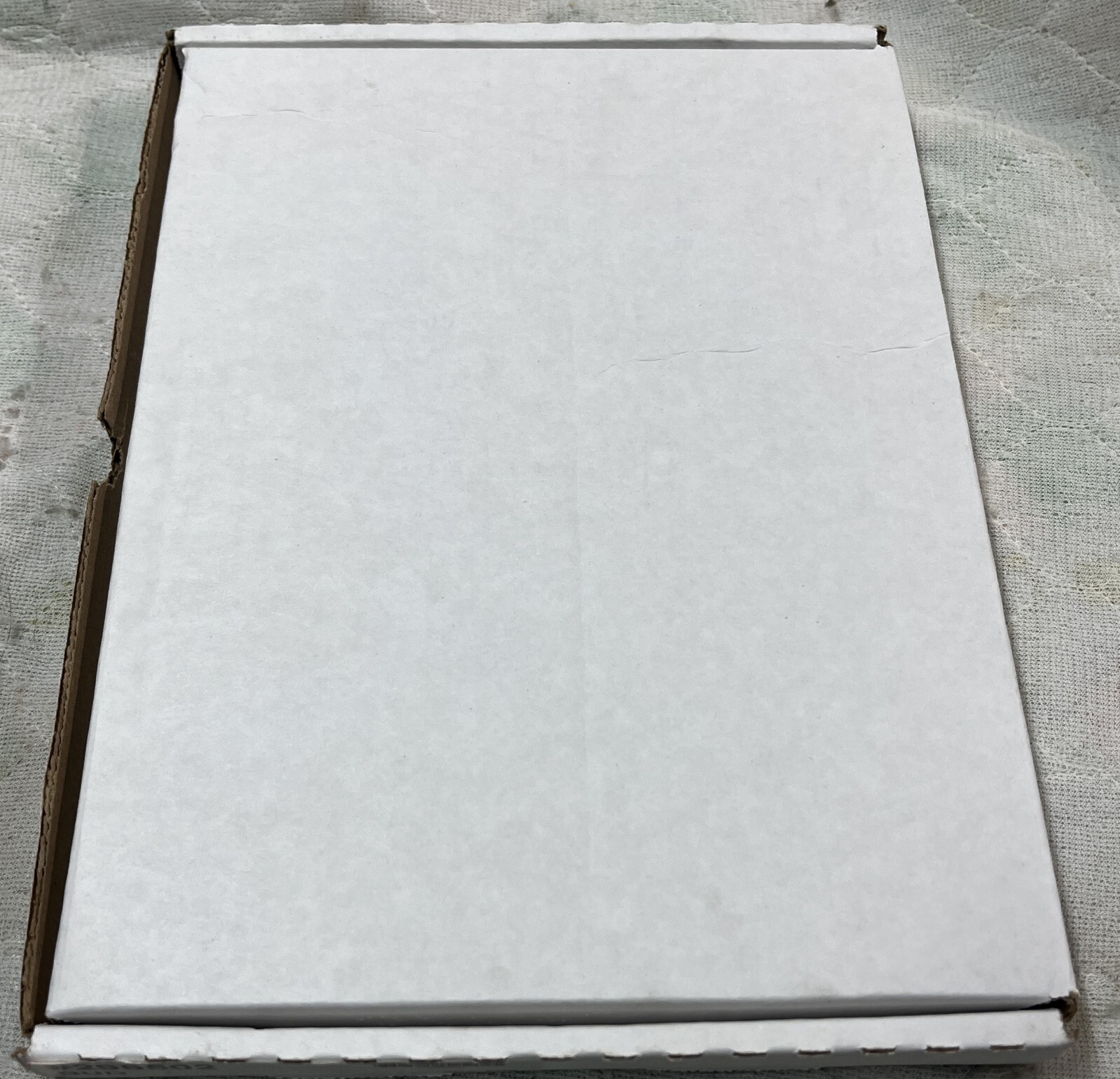 Budweiser Beer Logo Bar ID Age - Event Security Numbered Wristband - 500 Count