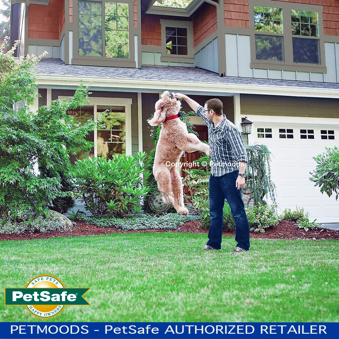 PetSafe RFA-67D-11 Batteries Wireless Fence Dog Collar PIF-275-19 NEW Qty 10