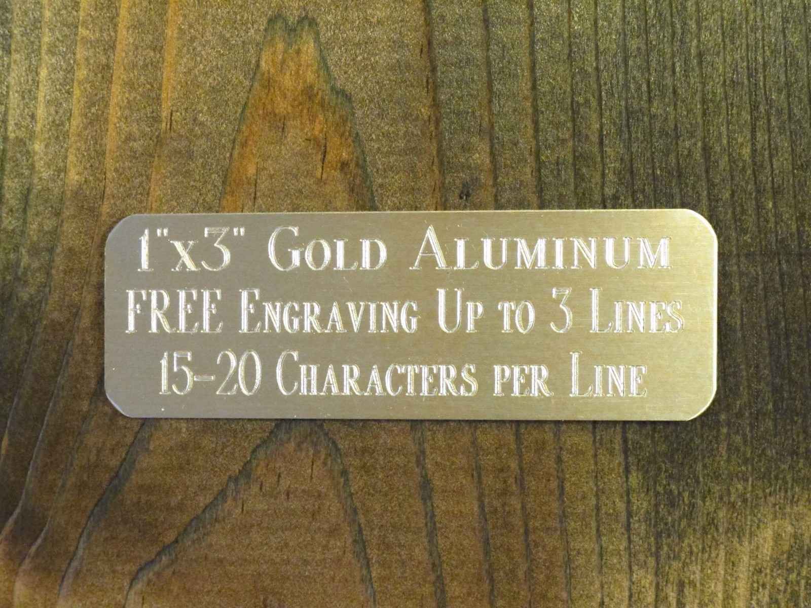 1"x3" GOLD NAME PLATE ART-TROPHIES-GIFT-TAXIDERMY-FLAG CASE FREE CUSTOM ENGRAVED