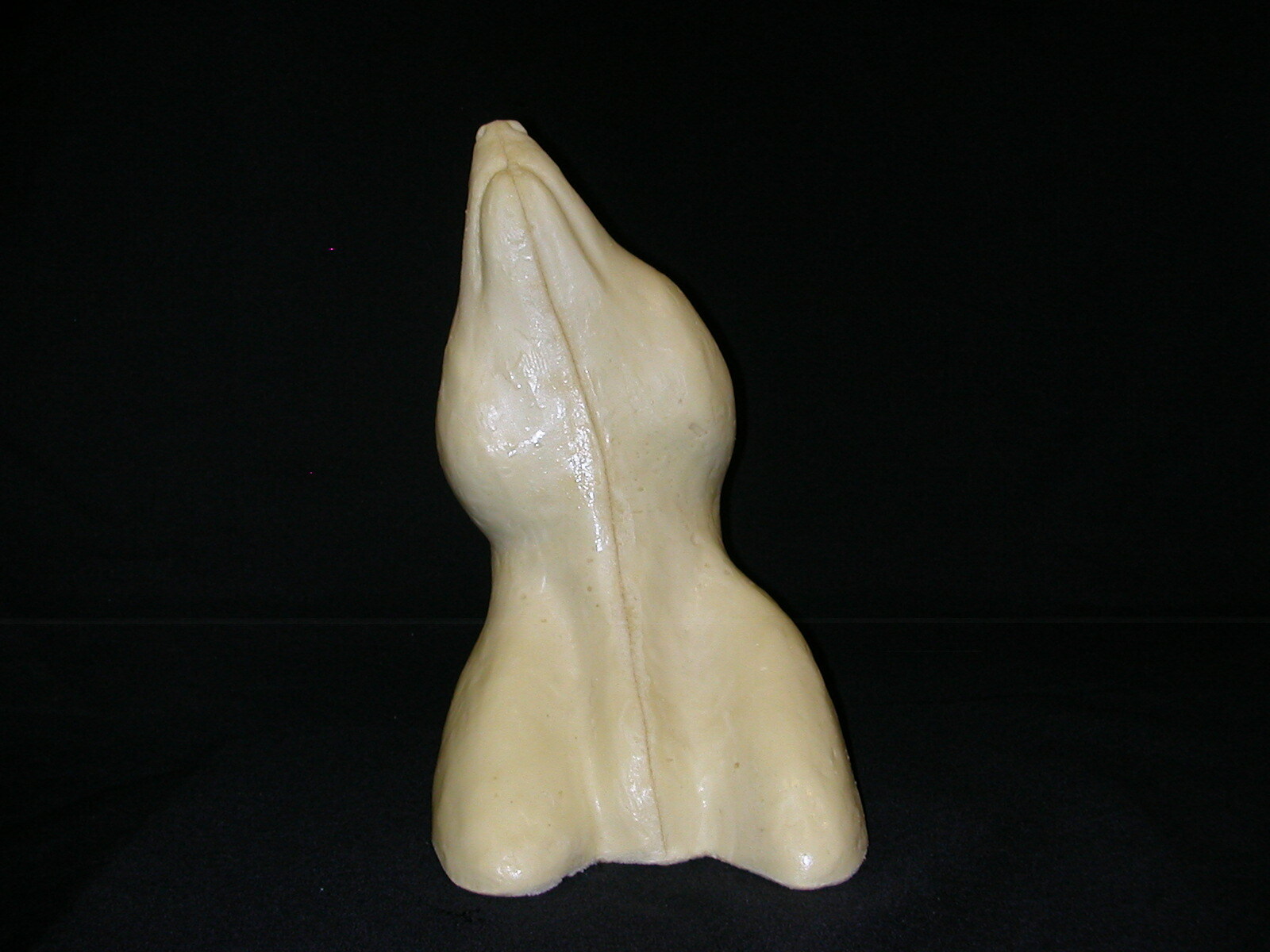 Taxidermy Form Raccoon Shoulder 2 1/8 X 6 1/8 X 10 Rt Closed Mouth Mouth