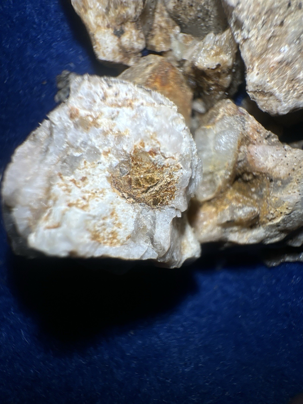 PayStreak™ Gold Ore —🔥 5 lbs 🔥Vein Quartz w/ REAL Visible Gold!