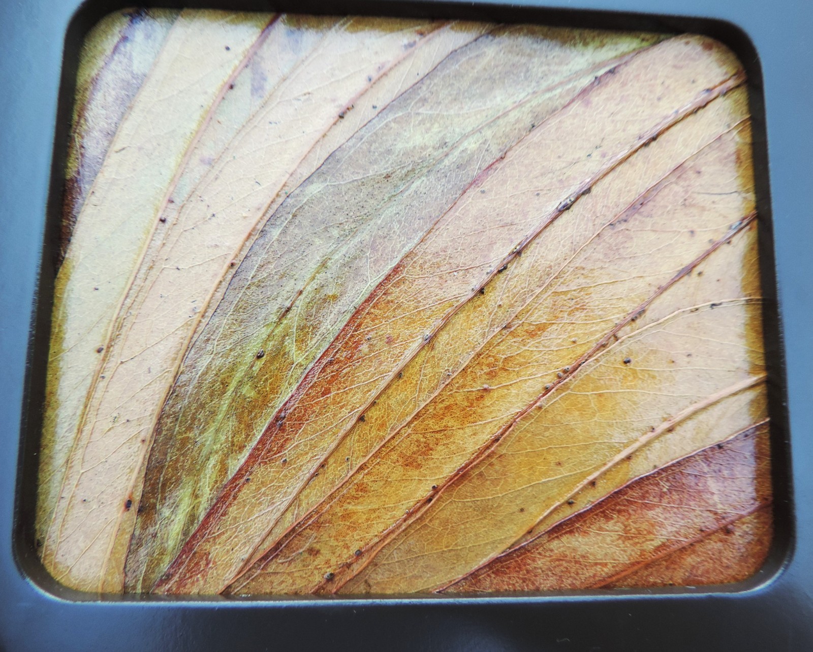 Ilaria Logi 'Southern Cross' Australia Sterling Silver 925 Map Puzzle w Box Rare