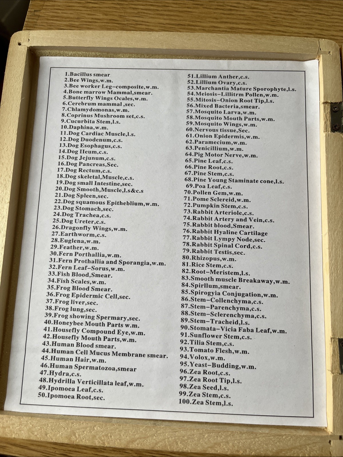 AmScope PS100E 100 Homeschool Biology Prepared Microscope Slides - Set E