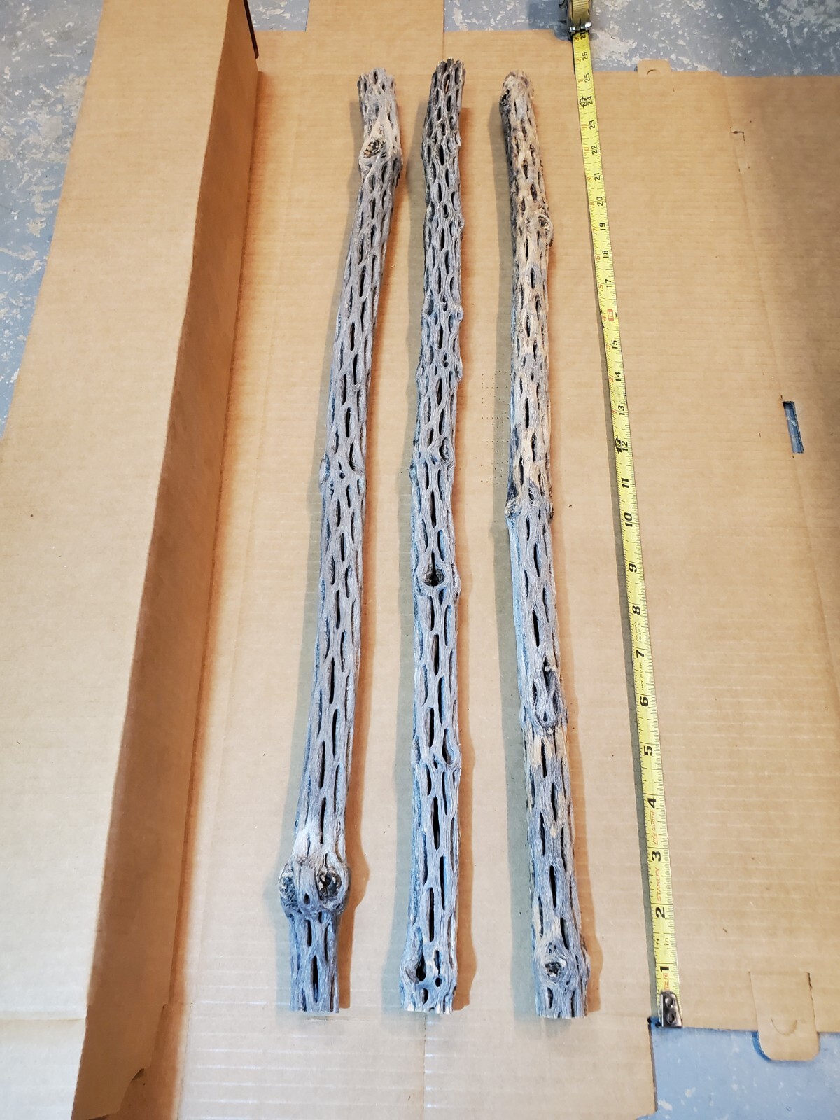 NEW! 3 CHOLLA Wood Pieces 24" inch EXTRA LONG Straight | Organic Aquarium Craft