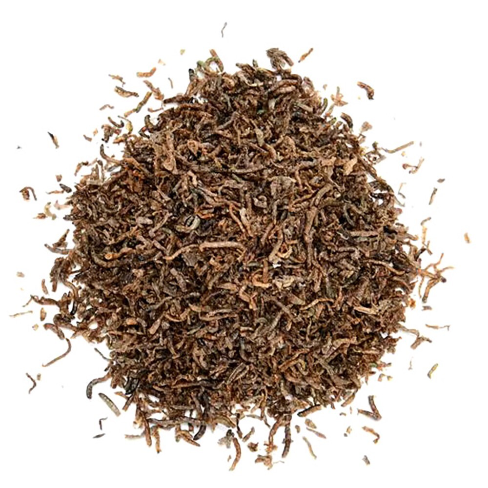 Red Blood Worm Fish Food Feed for All Kinds of Tropical Aquarium Small Food 25g