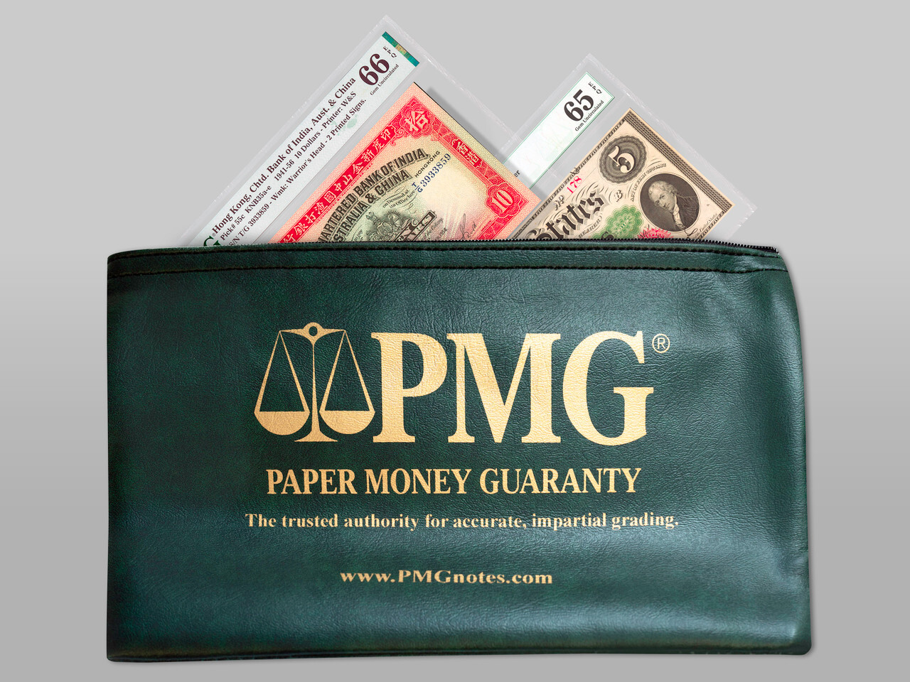 PMG® Small Currency Storage Bag Holds Certified Graded Bank Notes - Paper Money