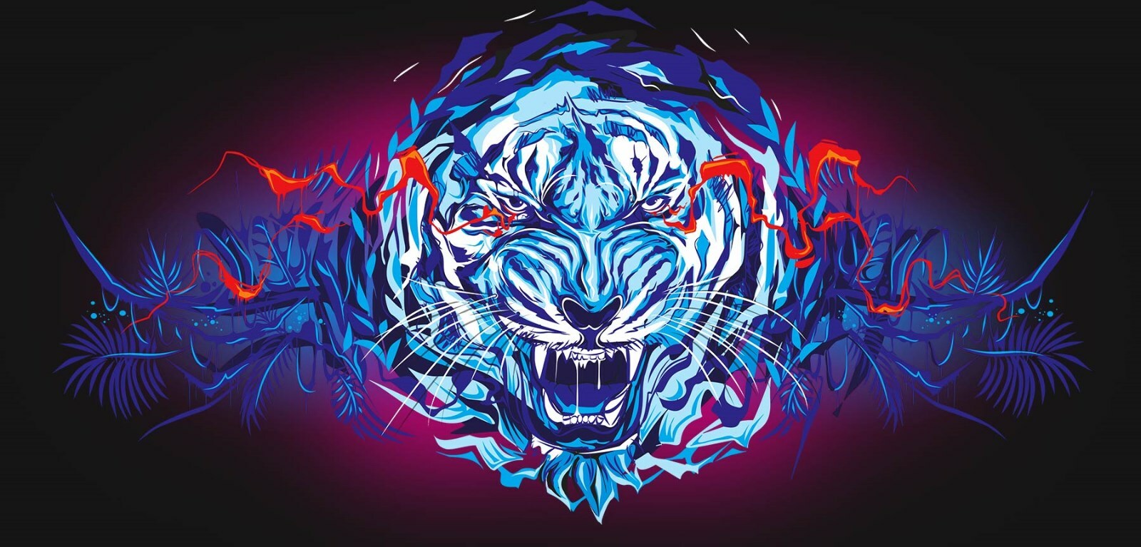 CorelDRAW Graphics Suite 2019 Full Version Windows PKC Permanent License Original Packaging NEW