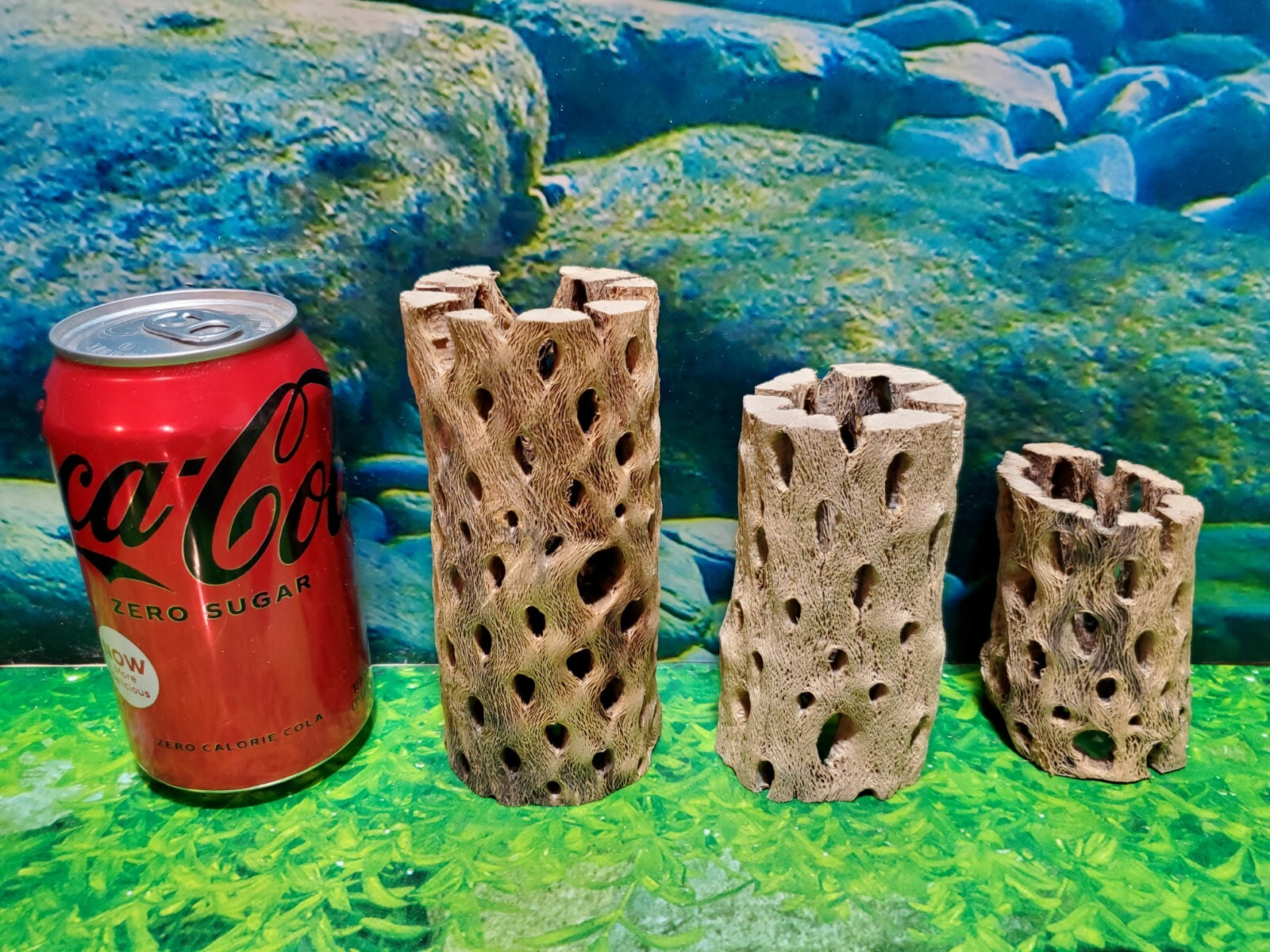 TEDDY BEAR CHOLLA Wood | 3 pcs, 3 sizes | Nice Air Plant Display Stands | Crafts