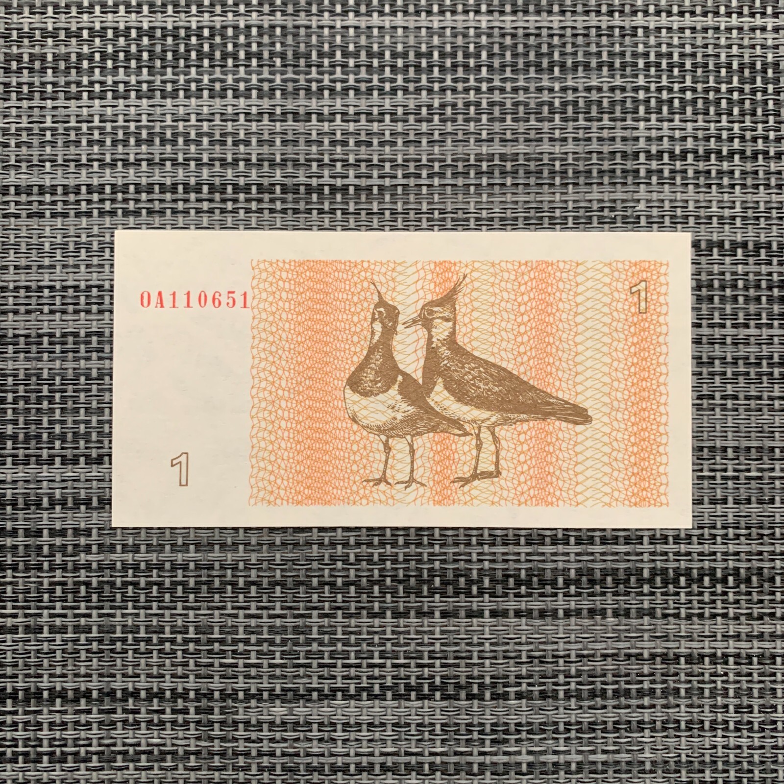 Eurasian Lapwings Lithuania 1 Talonas Banknote 1992 EX USSR Lithuanian Currency
