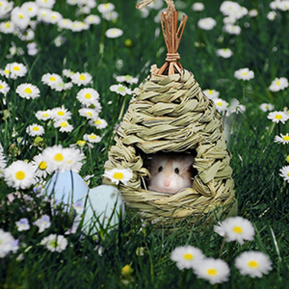 3Pack Handwoven Straw Hanging Hummingbird House Grass Bird Nest Bird Feeder