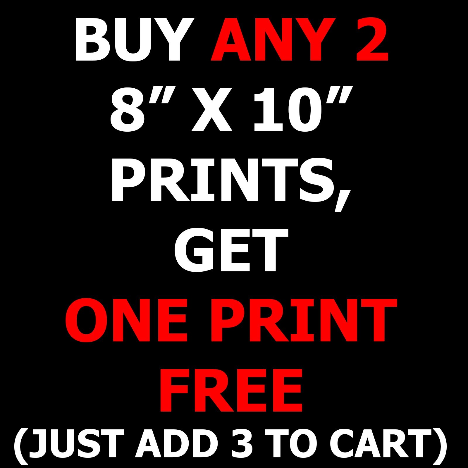 Bighorn Sheep Ram 8"x10" Photograph Print 8x10 #2