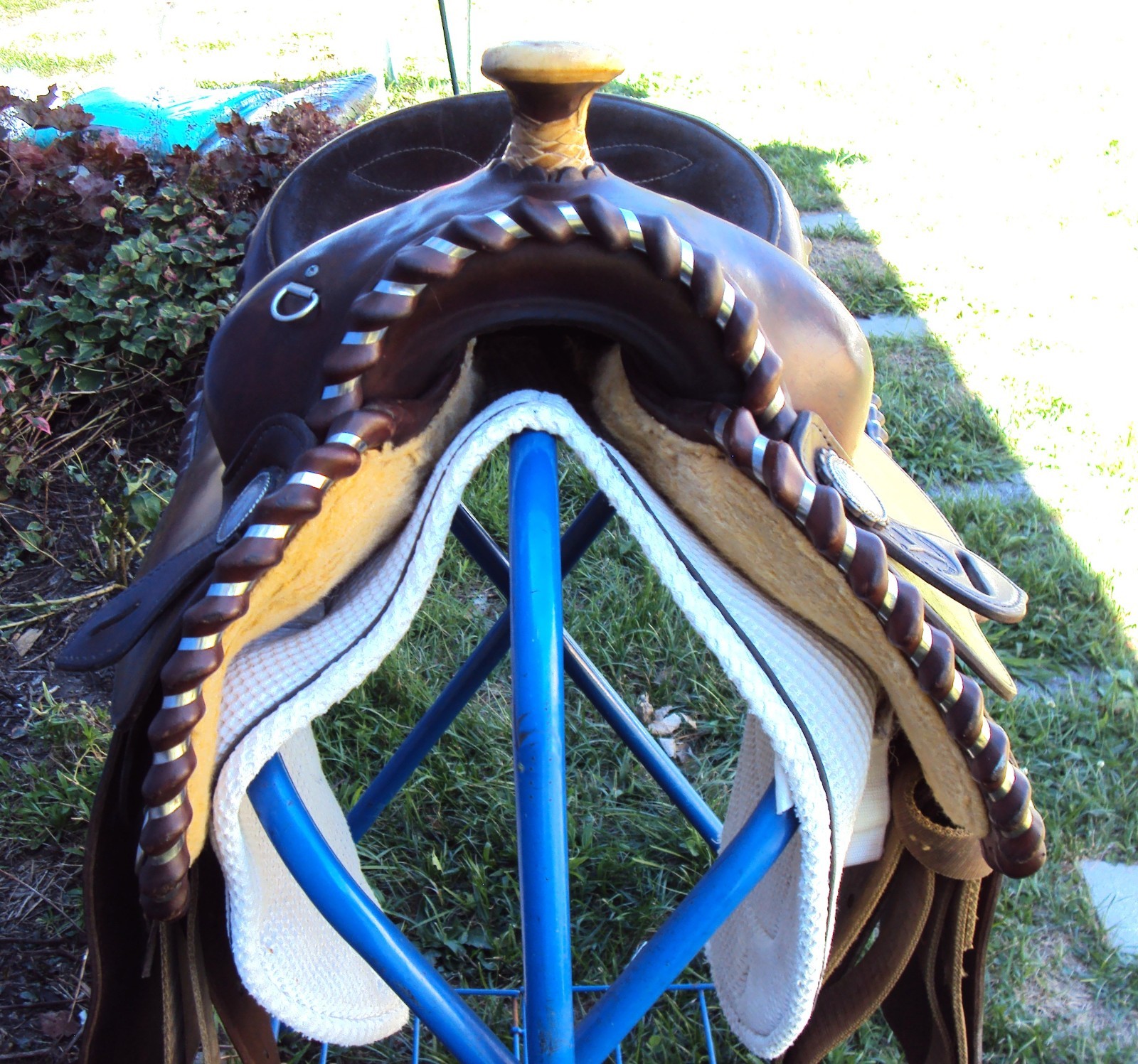 CIRCLE Y Western Show Saddle - 15" - SILVER CONCHOS - Padded Seat - BEAUTIFUL!