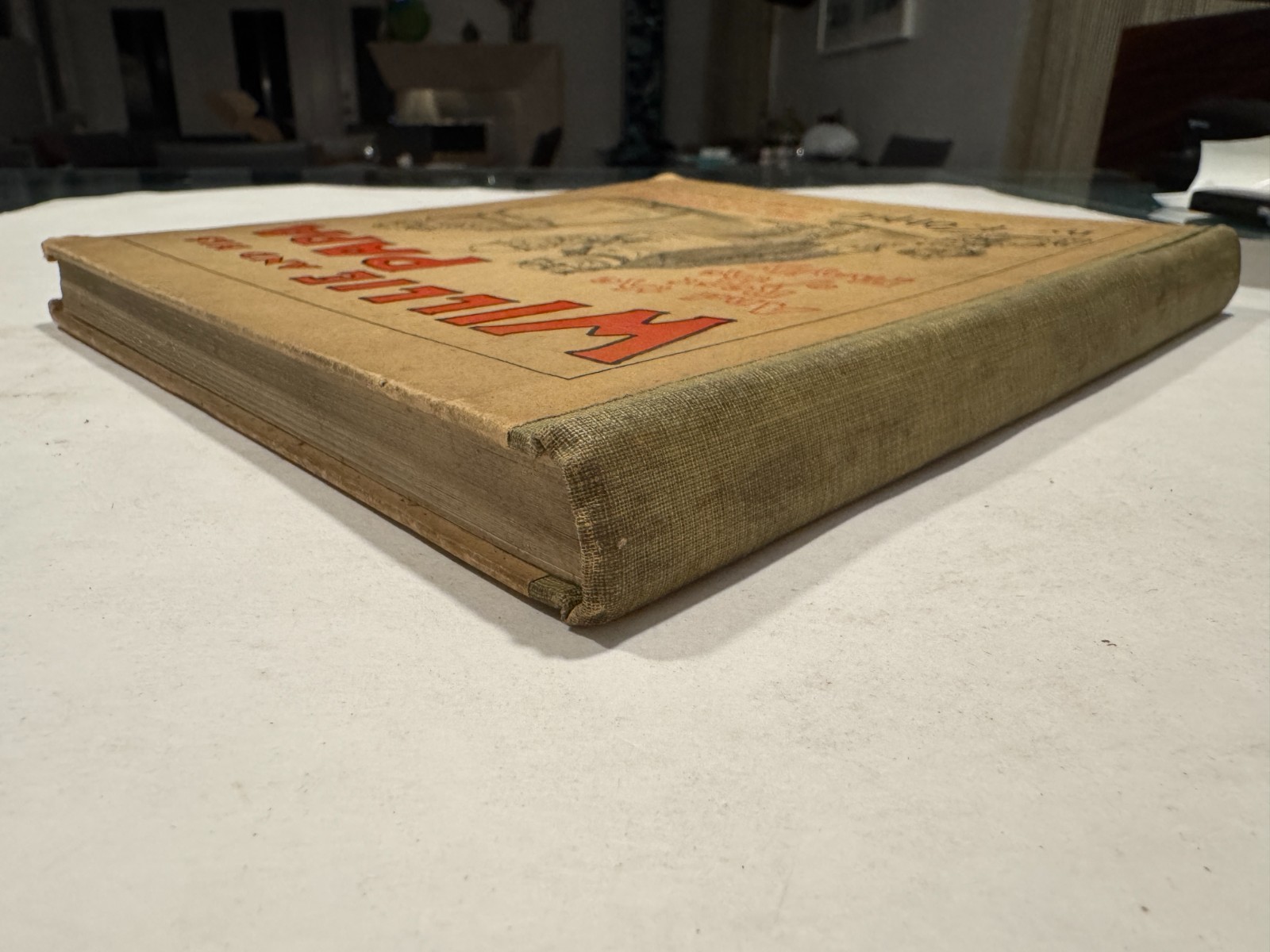 SIGNED BY AUTHOR! Willie and His Papa F. Opper 1901 Book McKinley Teddy Satire