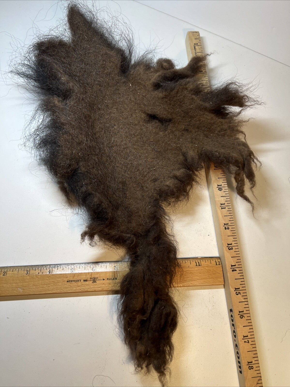 American Bison Buffalo Wool Section 1.6 Ounce