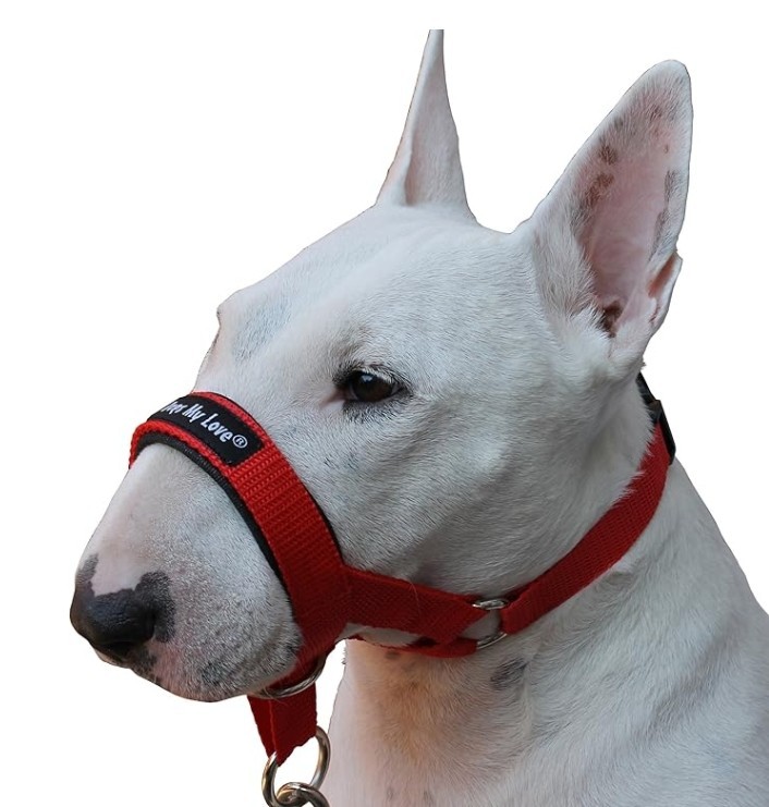Set of 2 Dog Head Collar Halter Red 6 Sizes (L: 10.25"-12.25" Snout)