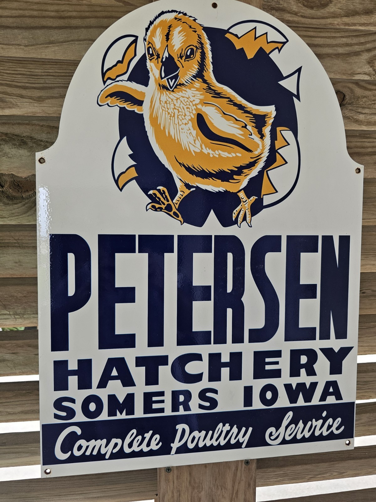 RARE VINTAGE PETERSEN HATCHERY, SOMERS IOWA 24"X 17" PORCELAIN SIGN SUPER NICE