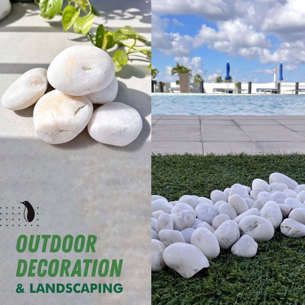 5 lb Decorative White River Rocks Pebbles for Plants Aquarium Stones (1-3")