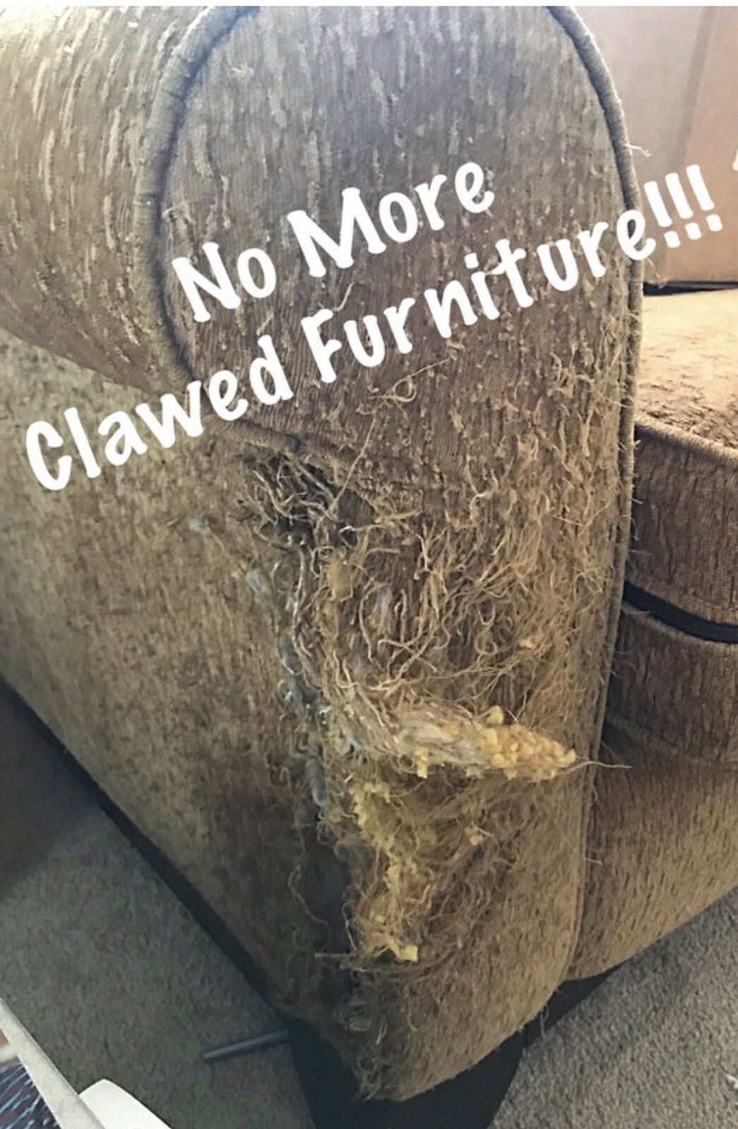 FMN Natural Cat Deterrent Spray. Cat Scratch Furniture Protection. Cat Repellent