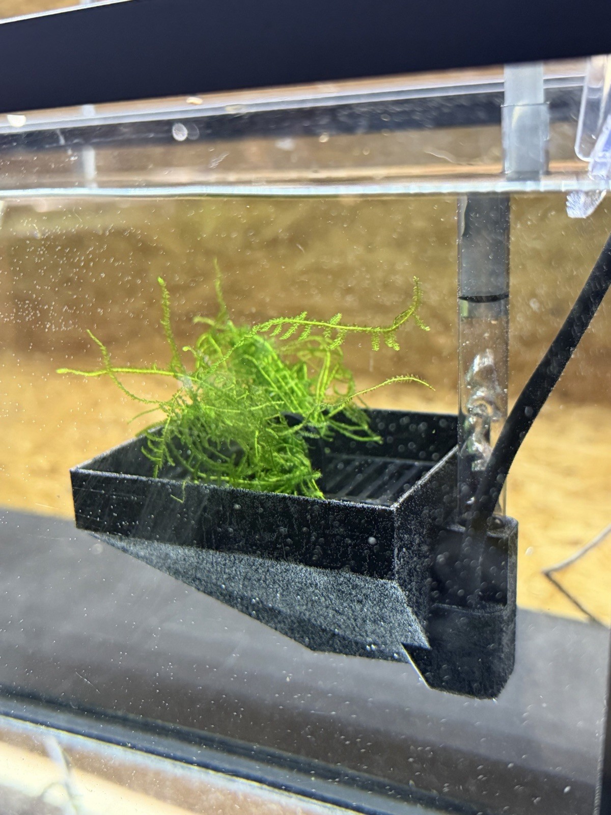 Egg Vac - Automatic Fish Egg Collector