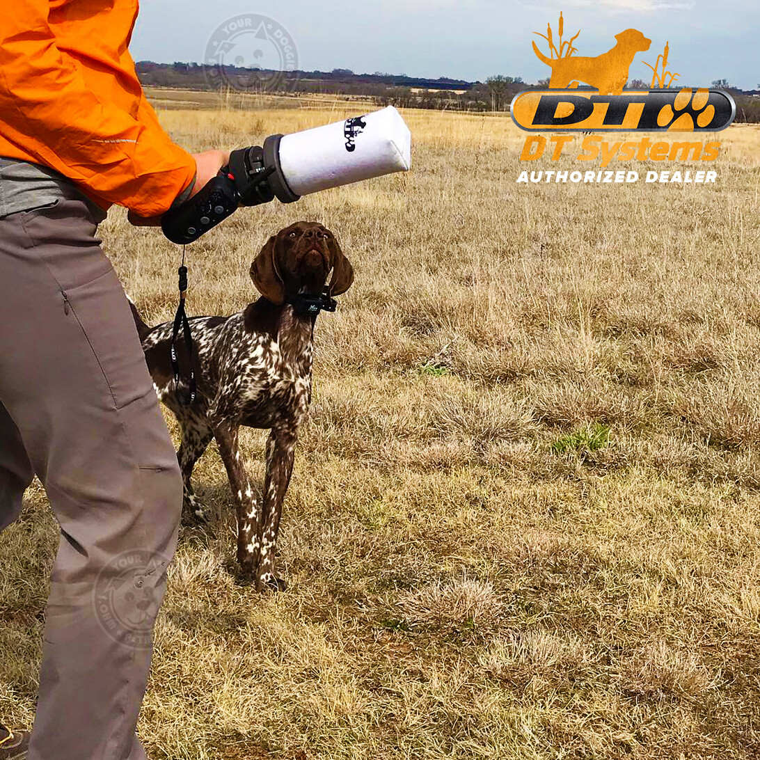 DT Systems Super Pro Dummy Launcher Orange Dog Training Kit w/ Free Power Loads