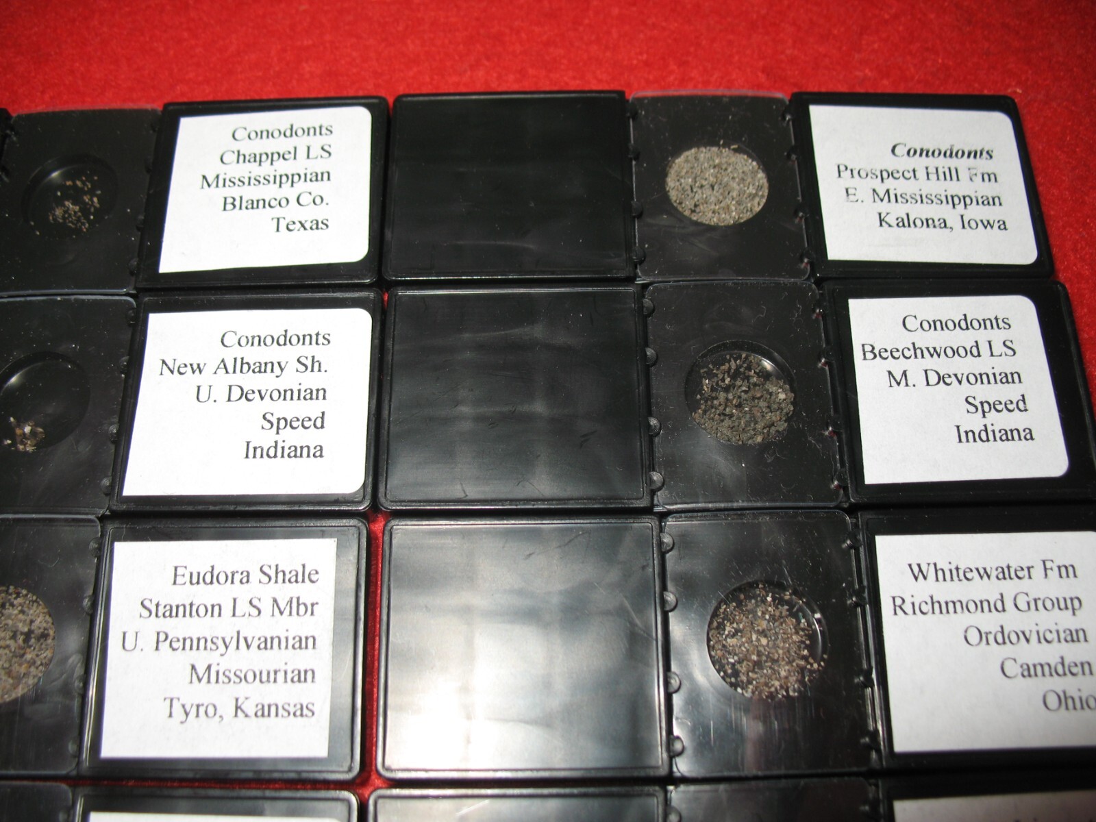 Ordovician to Triassic Conodont microfossil 8 slide collection rare fossils