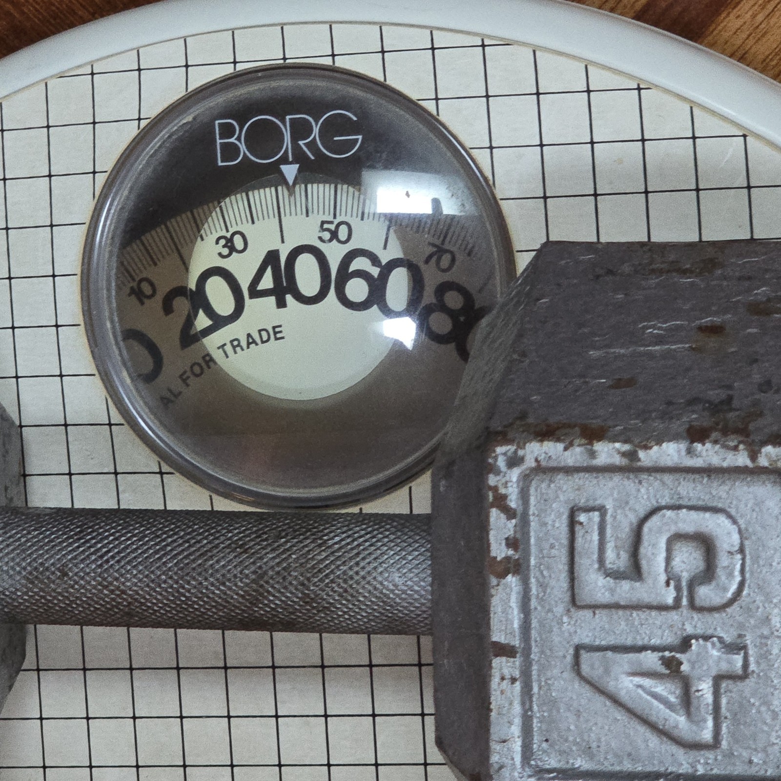 11" Tall Borg Small Feet Oval Bathroom Scale Bubble Viewer White Lines 280lbs