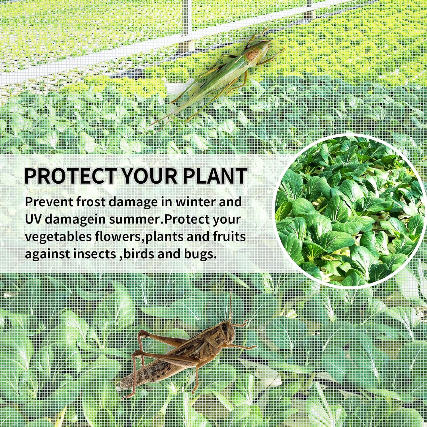 20-50ft Garden Bug Insect Netting Barrier Bird Pond Net Plant Crop Protect Mesh