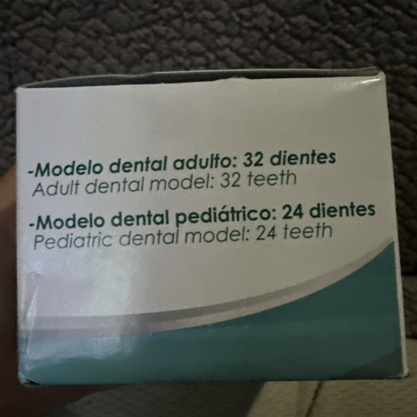 Dental Anatomy Typodont Educational Model DM-860 with Columbia Removable Teeth..