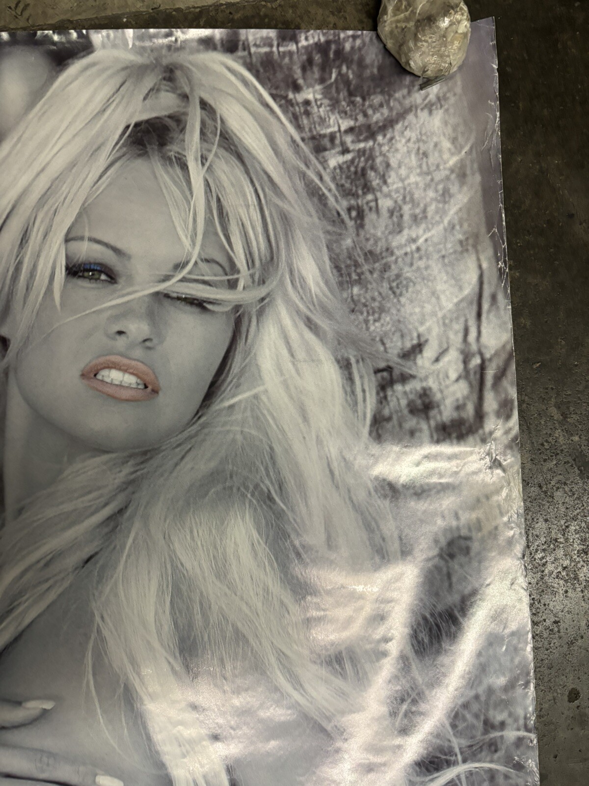 1990's vintage Poster hot girl Wearing Levi Jeans model C2585