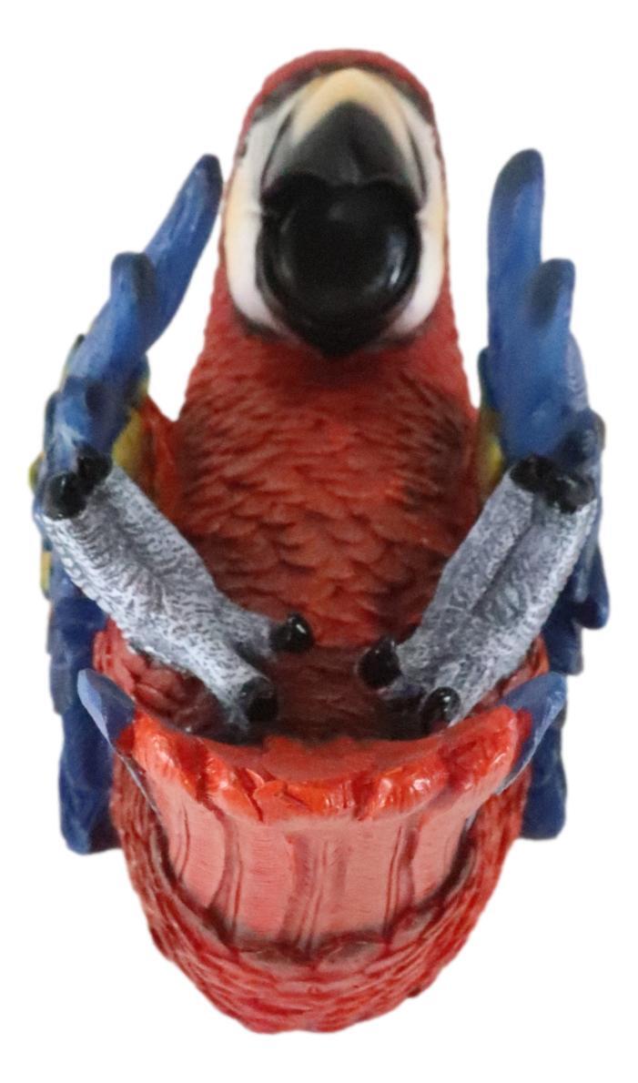 Red Scarlet Macaw Parrot Wine Bottle And Salt Pepper Shakers Holder Figurine Set