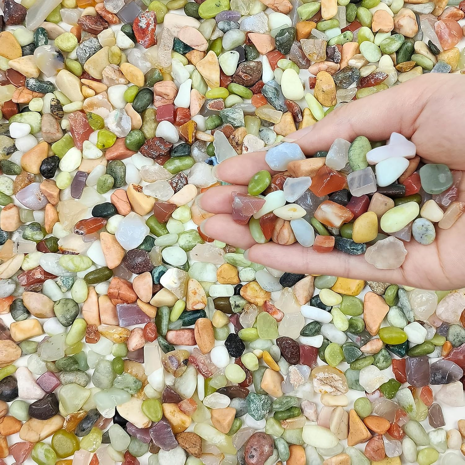 Succulent Rocks, 3/8 Inch Polished Pebbles for Indoor Plants, Decorative River R