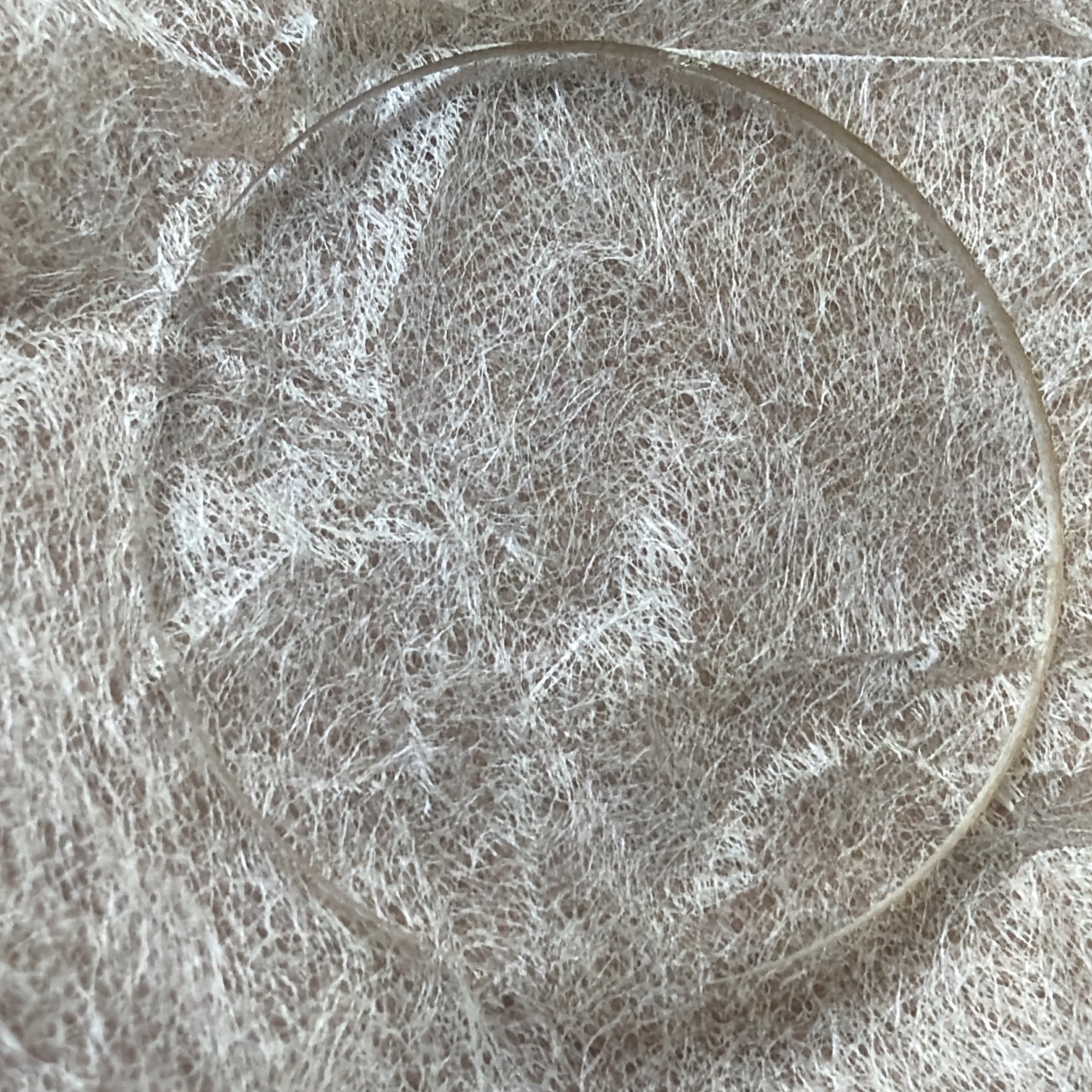 (4) 25.4mm Dia. Optical Windows / Glass. 1.42mm Thick