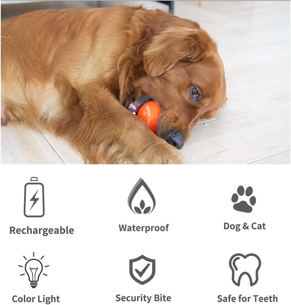 Peppy Pet Ball for Dogs with Remote Control Interactive Dog Ball Toy LED Flash