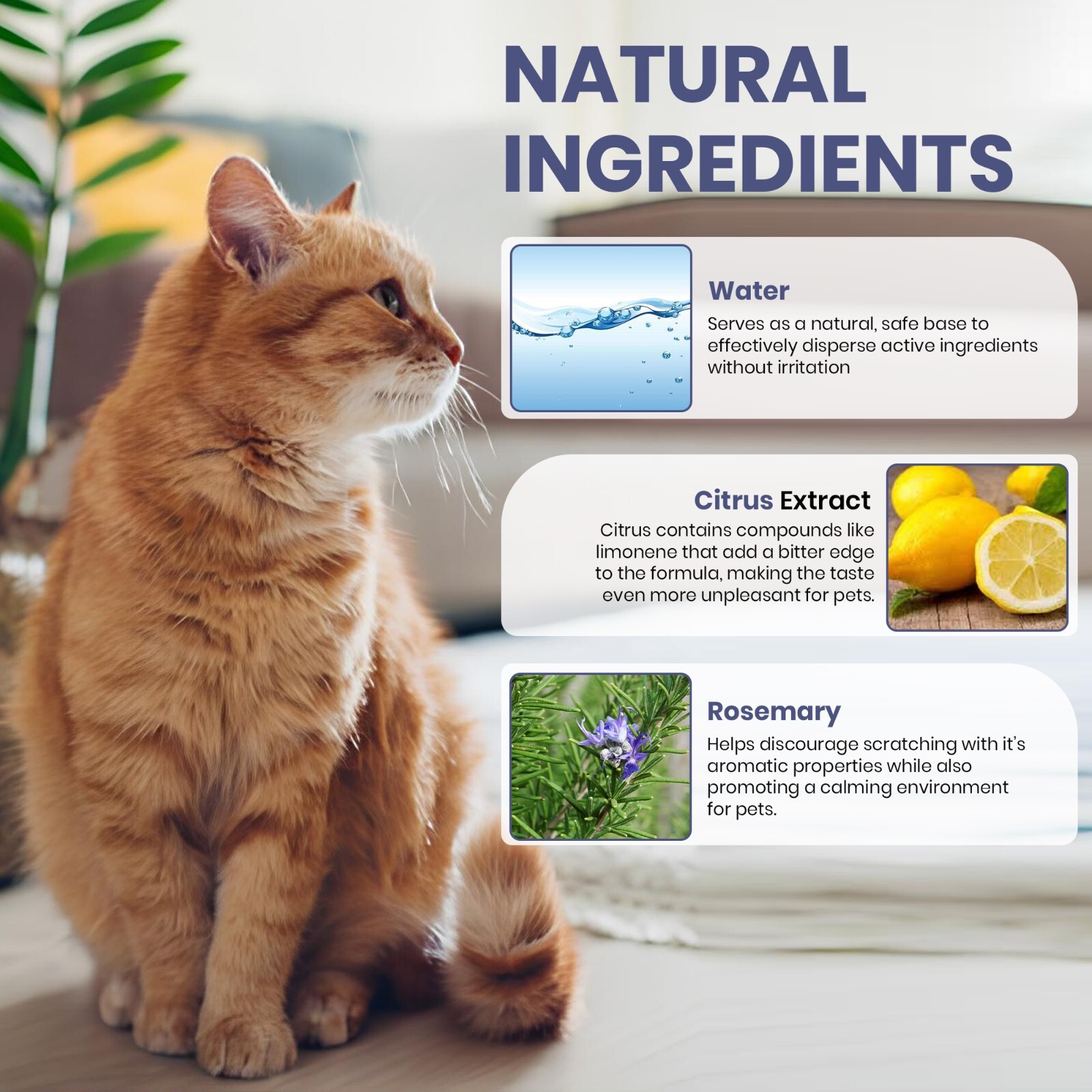 Yegbong Cat Deterrent/Repellent Spray 50ml– Stop Scratching, Biting, Marking