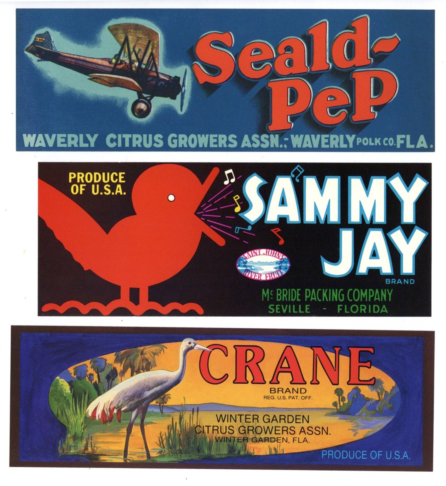 Collection of 25 Different Florida Citrus Labels **ORIGINAL FRUIT CRATE LABELS**