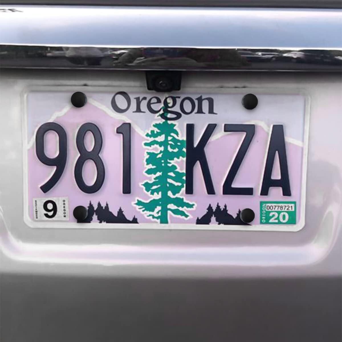 8 Black License Plate Screws Stainless Steel Bolts Caps Car Dealer Fasteners Kit