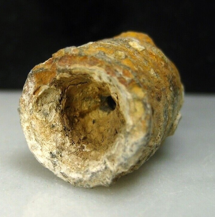 Battle of Cold Harbor VA Civil War Relic .577 Caliber Bullet Dug by Bill Gavin