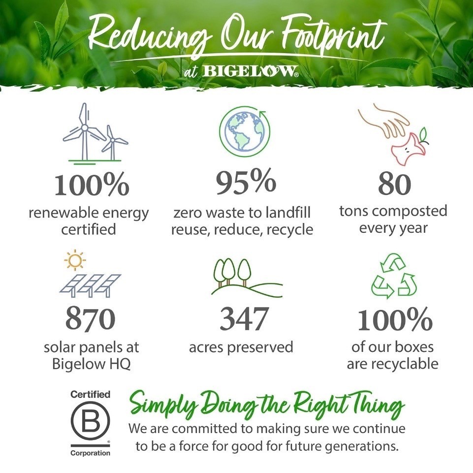 Bigelow Premium Organic Green Tea 140 Count Bags Healthy