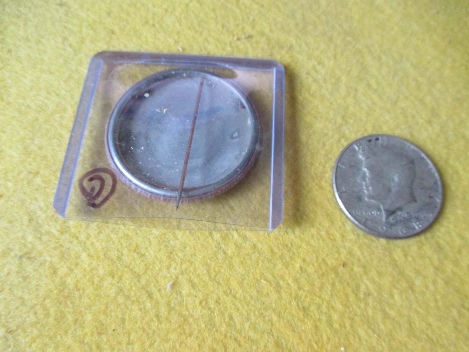 ORIGINAL WWII HOMEFRONT ANTI AXIS NAZI HUNTING LICENSE OPEN SEASON BUTTON (C)